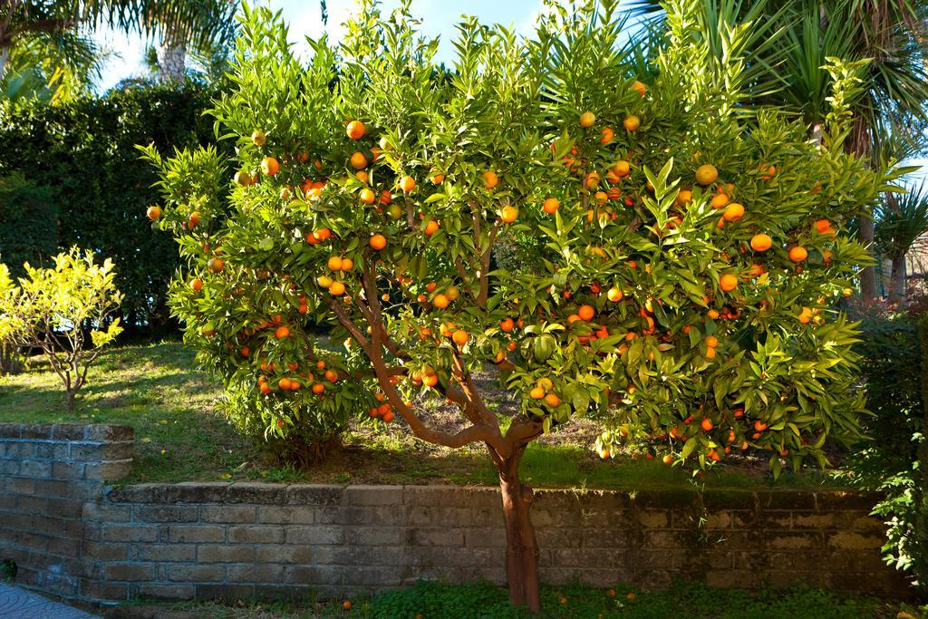 Tragliata Aquilamaior מראה חיצוני תמונה